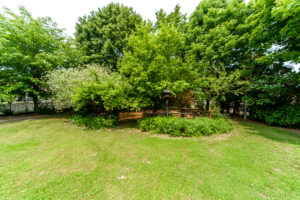 2-orsi-st-everett-s2-57