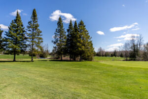 333-crydermans-rd-georgina-54