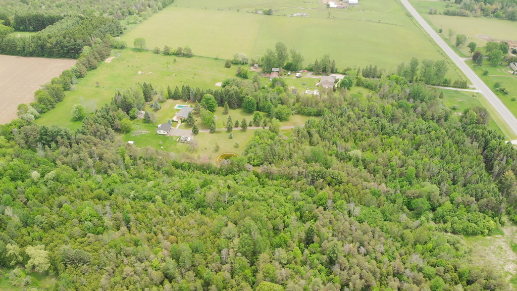 3683-newtonville-rd-clarington-3