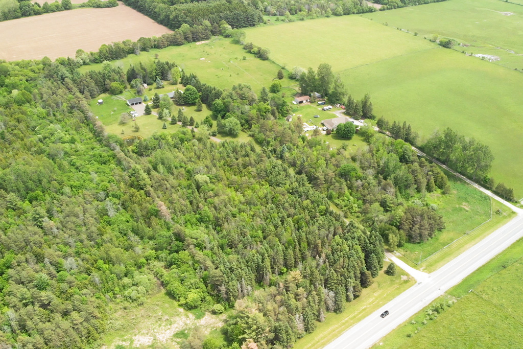 3683-newtonville-rd-clarington-update-2