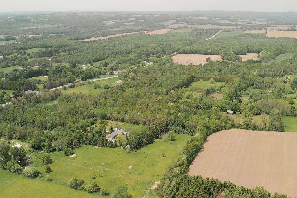3683-newtonville-rd-clarington-update-6