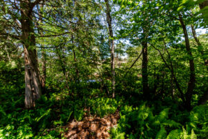 408-285-cryderman-sideroad-n-georgina-39