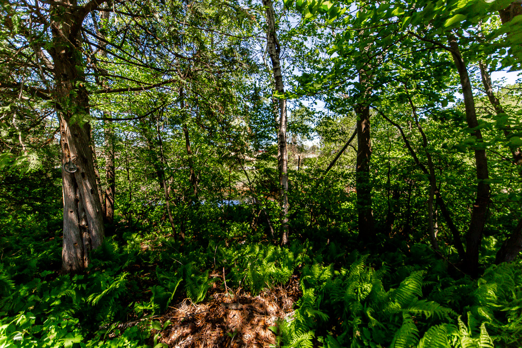 408-285-cryderman-sideroad-n-georgina-39